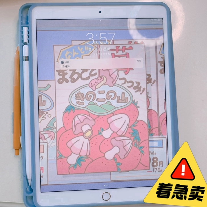 〔闲置出〕iPad  2019 10.2寸...
