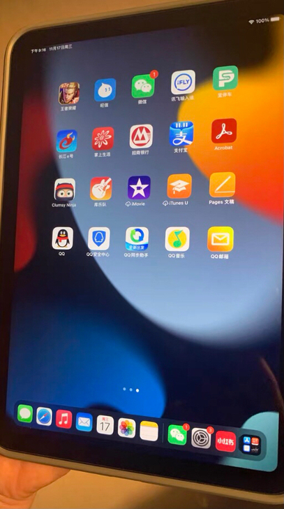 Apple iPad mini 8.3英寸...