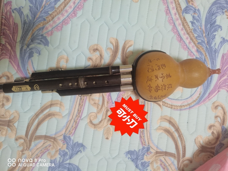 葫芦丝，有一点点坏，原价几百块的，现在卖3...