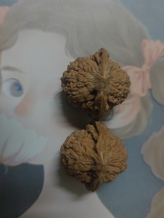 40滴满天星,直播间买滴,很好看。双十一剁...