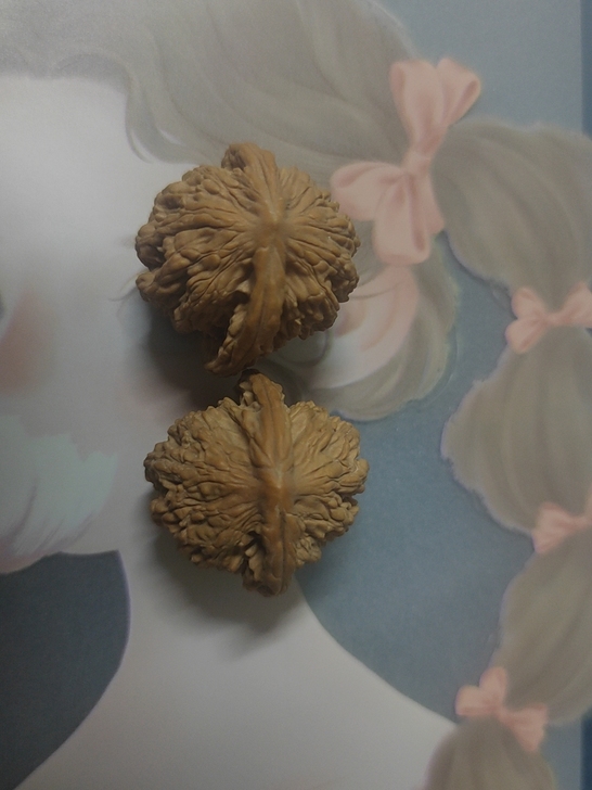 核桃，双十一剁手太狠，回点血。直播间买的，...