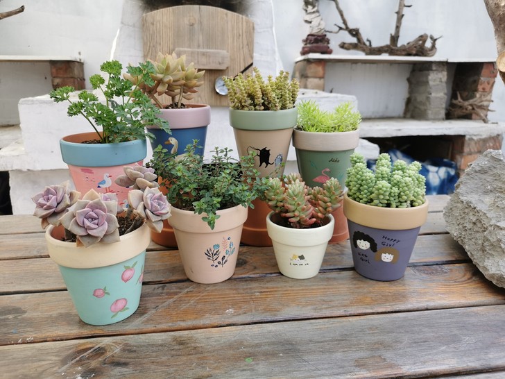 清新手绘彩绘红陶花盆多肉草花香草植物花盆