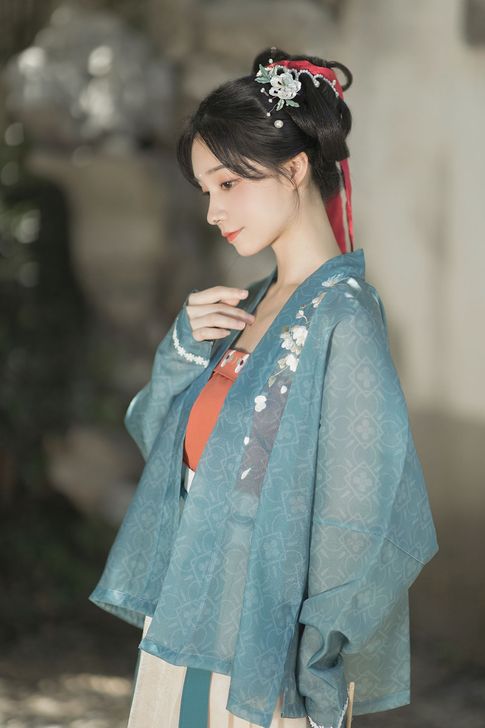 桔屿原创汉服女【陌桑花】宋制吊带飞机袖中国...