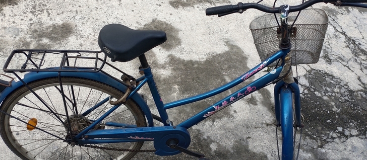 刚买的才骑一年永久自行车转手,外观完好,骑...