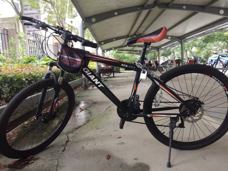 闲置捷安特山地自行车,除一个变速器有点损坏...