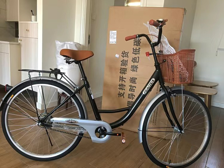 成人自行车男女士单车轻便通勤车