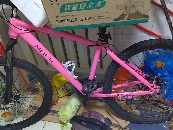 全新自行车
