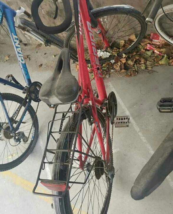 美利达野狼1旅行自行车。