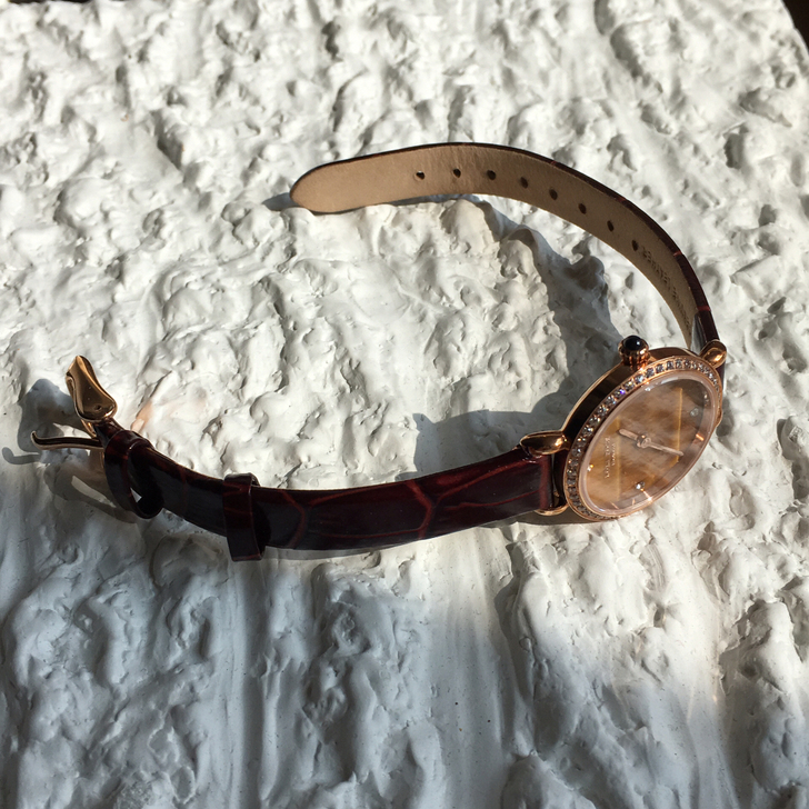 品牌型号：Lolarose手表