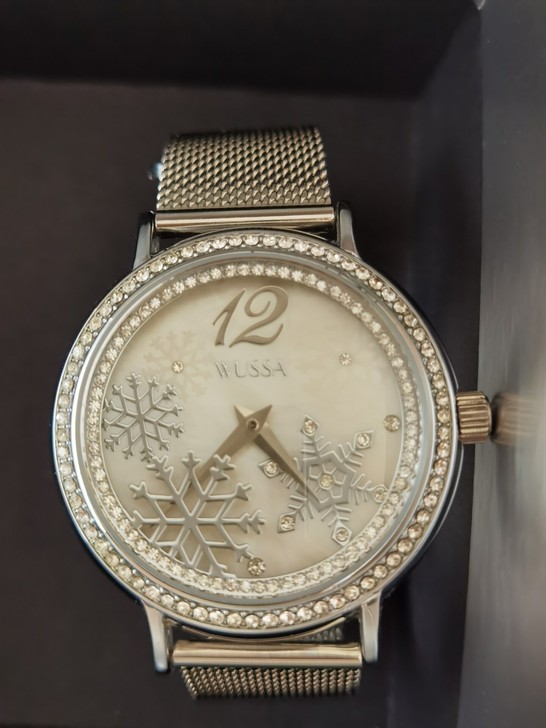 钢链女式手表白色银色雪花钻石防水大表盘