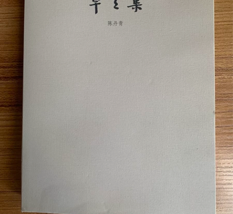 草草集 陈丹青 艺术散文杂文随笔中国当代 ...