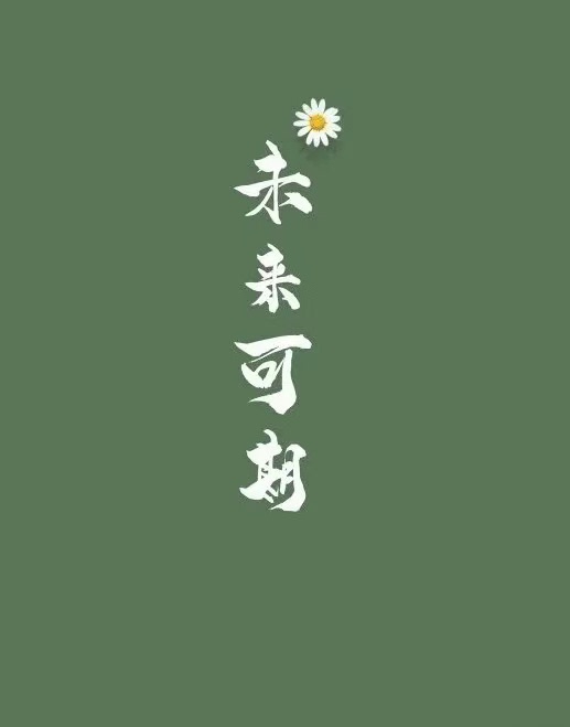 【竞赛指导】挑战杯，互联网+，大创，三创赛...