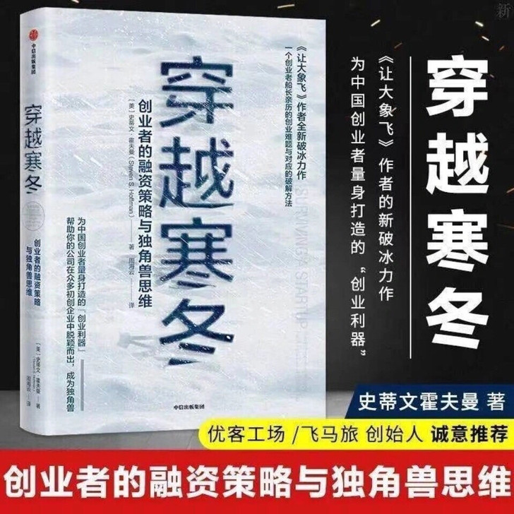 穿越寒冬平装 史蒂夫霍夫曼著 创业融资策略...