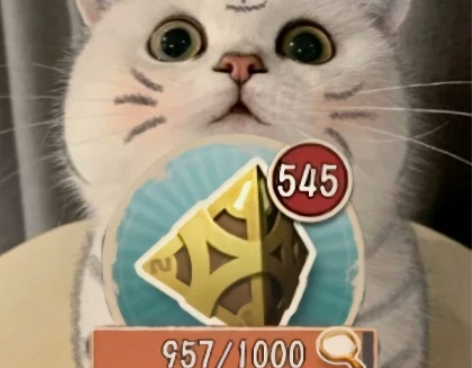 第五人格250骰子 第五人格二百五十骰子 ...