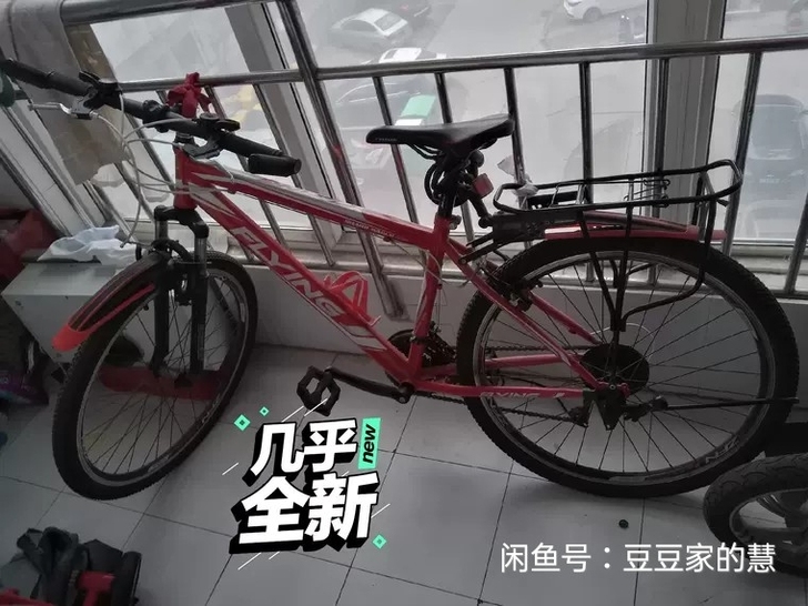 追风鸟变速自行车，北国超市购买，几乎全新，...
