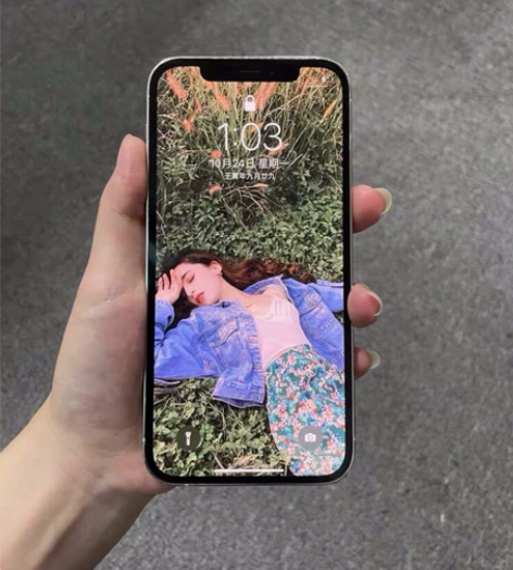 【原装】苹果12Pro Max 官网正品充...