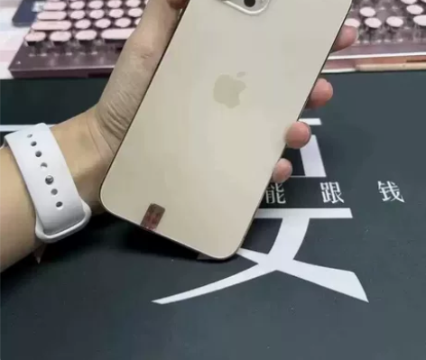 12promax 512G走平台下单 iP...