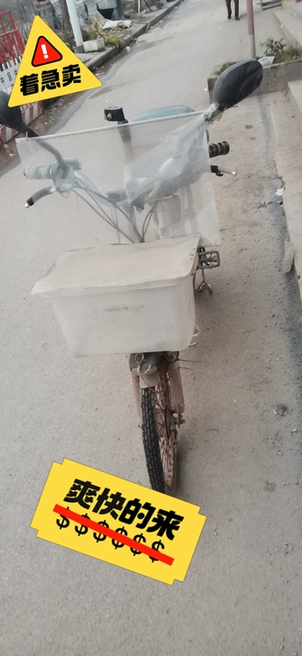 最便宜的电动自行车，2块48V爱玛电池，人...