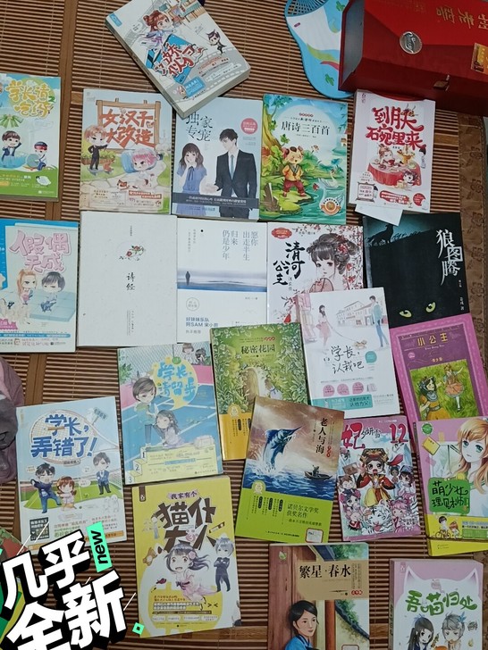 言情小说校园小说名人小说