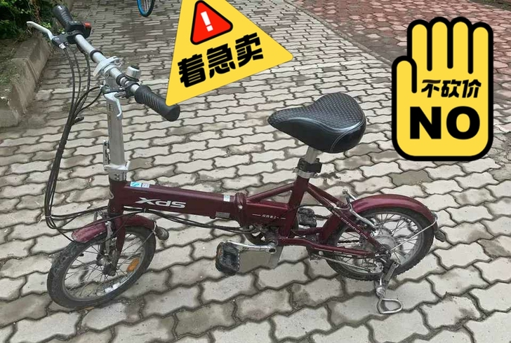 喜德盛探路者2，电动车，原装电池，折叠电动...