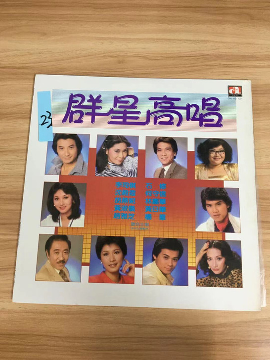 中国流行歌曲唱片,群星高唱黑胶唱片LP,明...