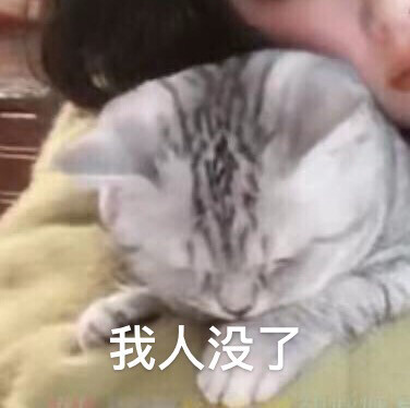bangmang唱歌
