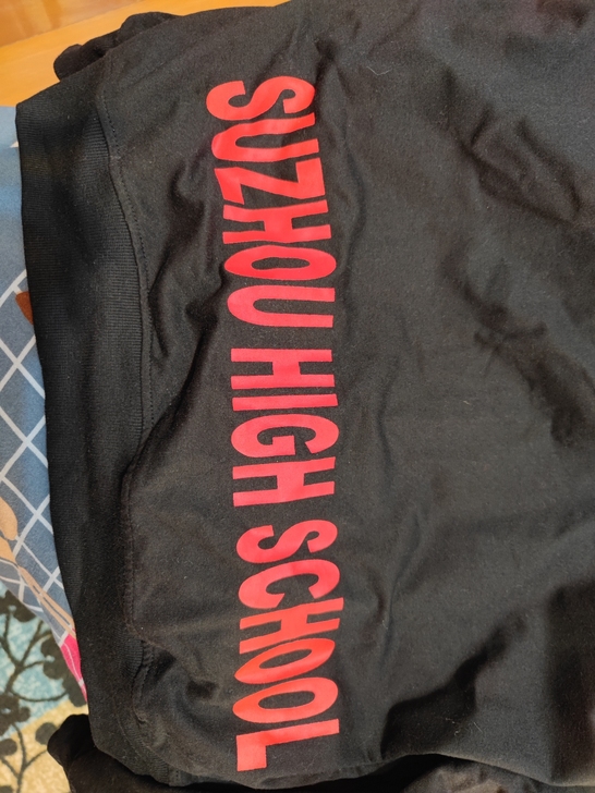 苏州中学 带苏中标记 校服 适合160到1...