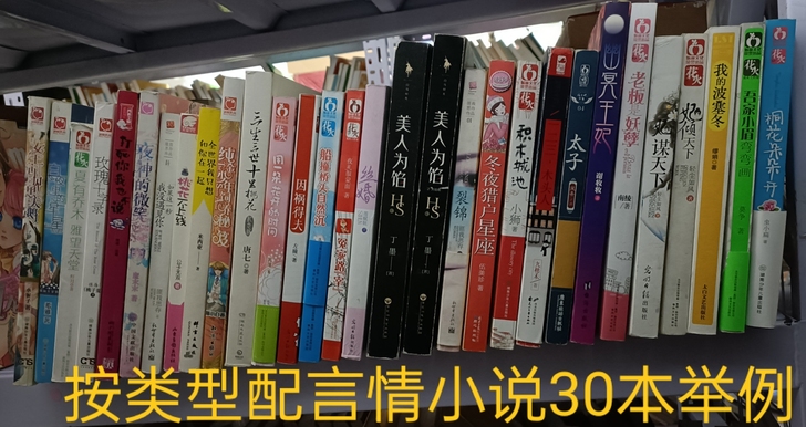 大本言情小说 青春校园小说 玄幻小说 网络...