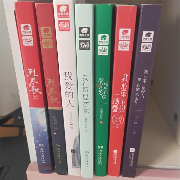 正林爱格小说打包处理包邮 青春校园言情小说