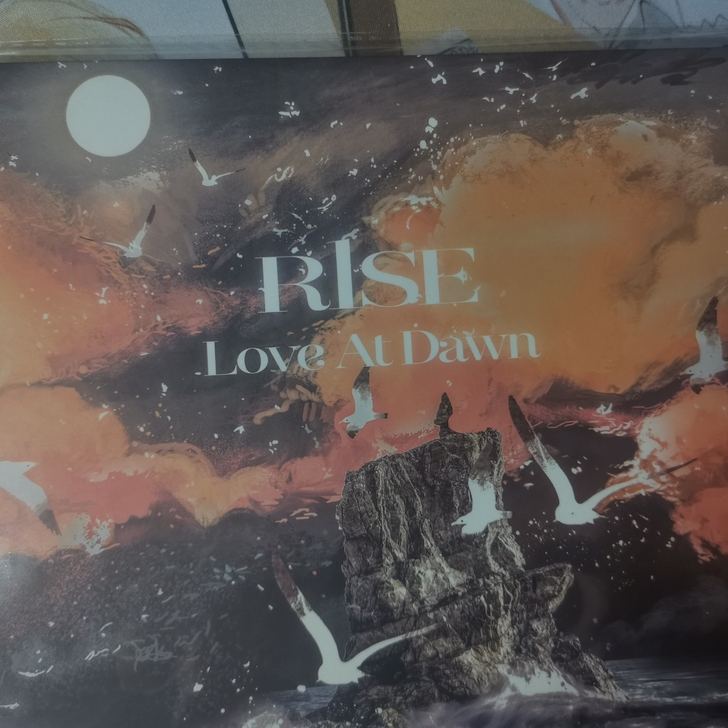 出R1SE