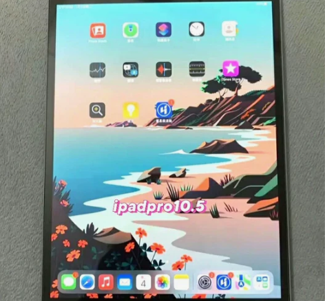 闲置处理 iPad pro10.5款平板电...