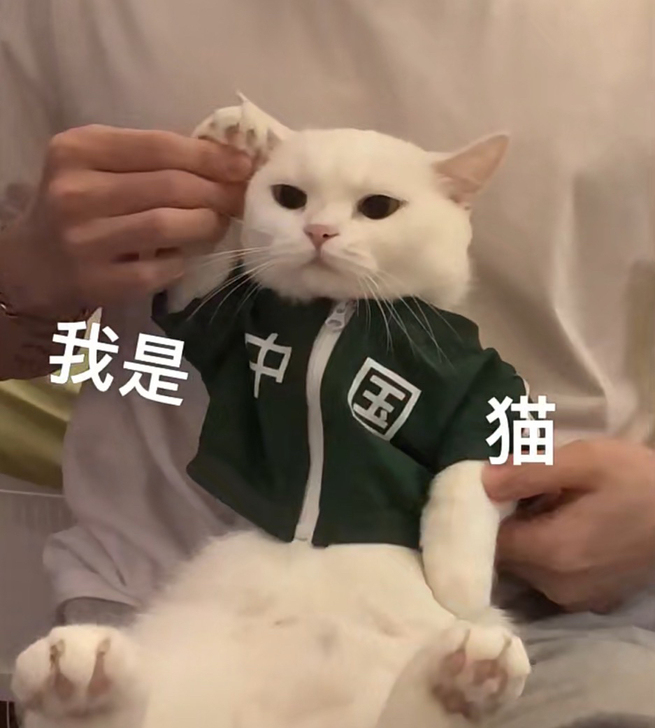 【收】周杰伦20周年黑胶唱片十一月的肖邦2...