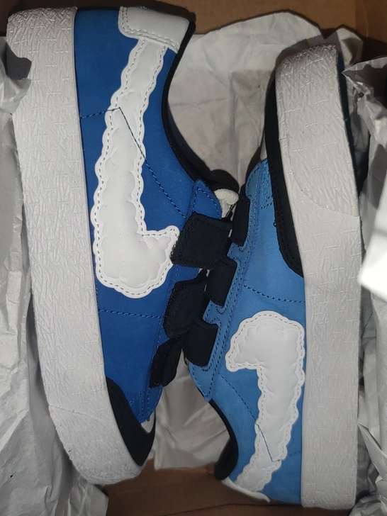 Nike/耐克女款板鞋36.5码，原装原盒...