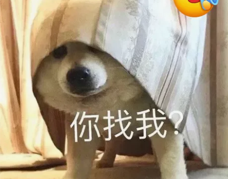 雅思四六级英语听力口语阅读写作备考问题解答...