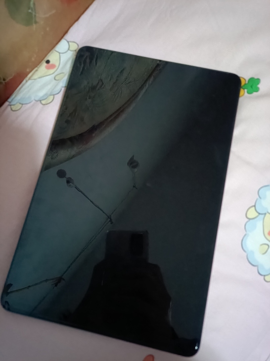 小米平板5Pro，有盒子，有67W氮化镓充...