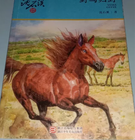 裸书，不包邮，闲置书转买 感兴趣的话点“我...