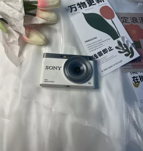 个人急出！索尼CCD相机佳能同款5000万...