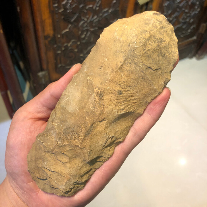 石器时代早期 打制石器 石斧 器型大