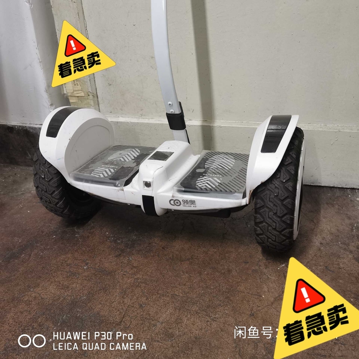 领奥平衡车。54V锂电池。成分9成新。带蓝...