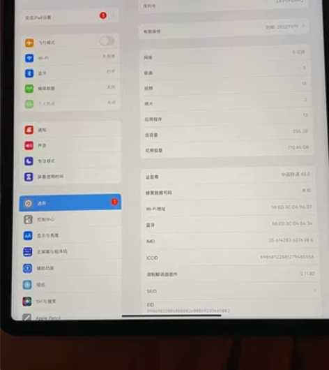 闲置iPad Pro (12.9英寸)(第...
