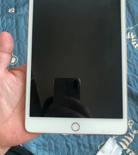个人一手自用iPad mini4 32G裸...