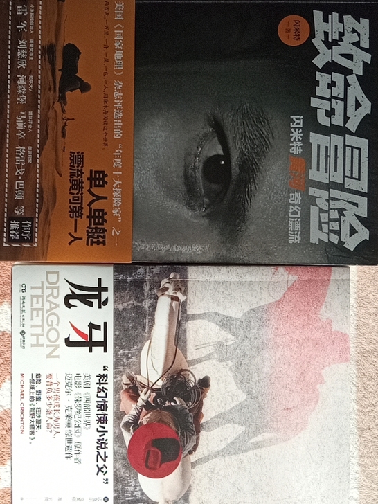 致命冒险+龙牙九成新书两本小说漂流纪实文学...