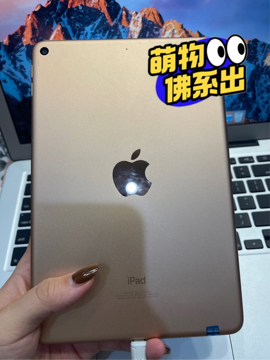 ipad mini4 128g 原装正品,...