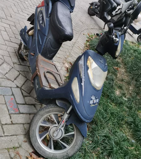 菲律普电动车，因 长期不使用，成色一般，电...