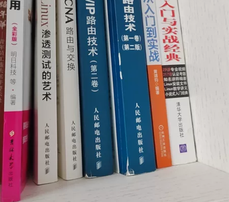 计算机类图书包含 linux入门与实战、t...