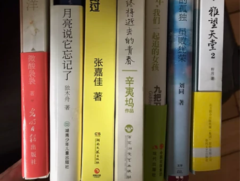 出书，十元封顶，青春文学小说较多。 因搬往...