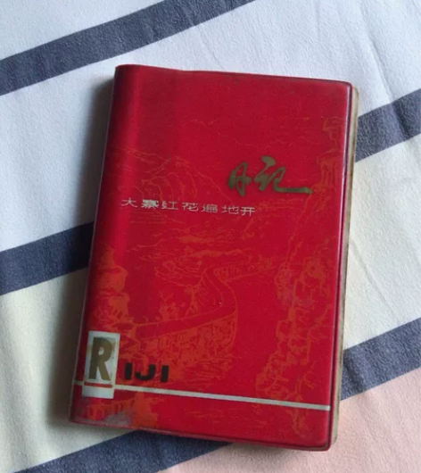 老日记本，品相如图，自取10元，邮寄需要加...