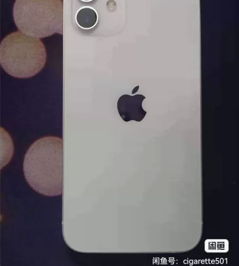 Apple/苹果 iPhone 12 感兴...