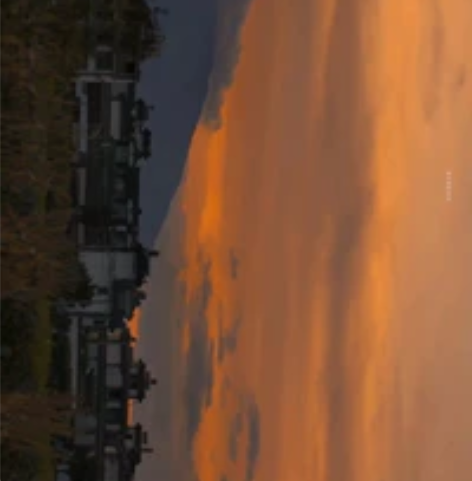 留学生辅导 商科会计学习  统计 经济  ...