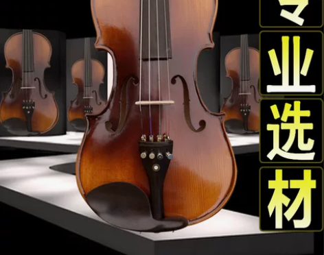 索雅特MV238升级小提琴专业初学考级演奏...